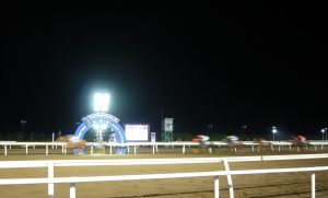 p1030164